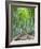 Japan, Kyoto, Arashiyama, Adashino Nembutsu-ji Temple, Bamboo Forest-Steve Vidler-Framed Photographic Print