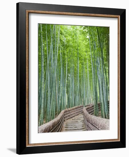 Japan, Kyoto, Arashiyama, Adashino Nembutsu-ji Temple, Bamboo Forest-Steve Vidler-Framed Photographic Print