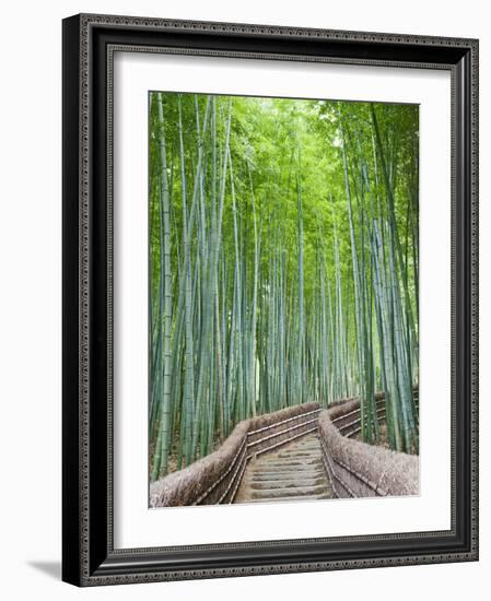 Japan, Kyoto, Arashiyama, Adashino Nembutsu-ji Temple, Bamboo Forest-Steve Vidler-Framed Photographic Print