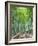 Japan, Kyoto, Arashiyama, Adashino Nembutsu-ji Temple, Bamboo Forest-Steve Vidler-Framed Photographic Print