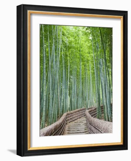 Japan, Kyoto, Arashiyama, Adashino Nembutsu-ji Temple, Bamboo Forest-Steve Vidler-Framed Photographic Print