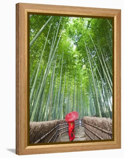 Japan, Kyoto, Arashiyama, Adashino Nembutsu-ji Temple, Bamboo Forest-Steve Vidler-Framed Premier Image Canvas