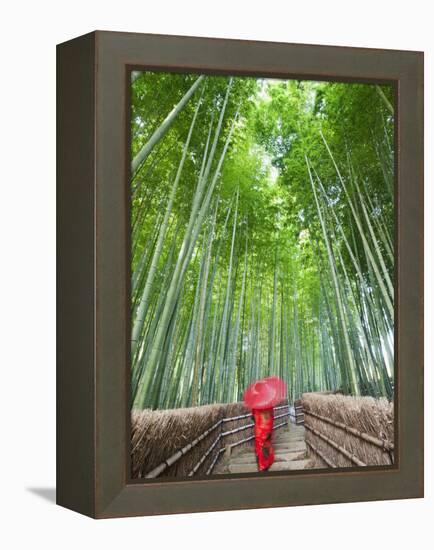 Japan, Kyoto, Arashiyama, Adashino Nembutsu-ji Temple, Bamboo Forest-Steve Vidler-Framed Premier Image Canvas