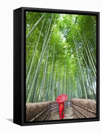 Japan, Kyoto, Arashiyama, Adashino Nembutsu-ji Temple, Bamboo Forest-Steve Vidler-Framed Premier Image Canvas