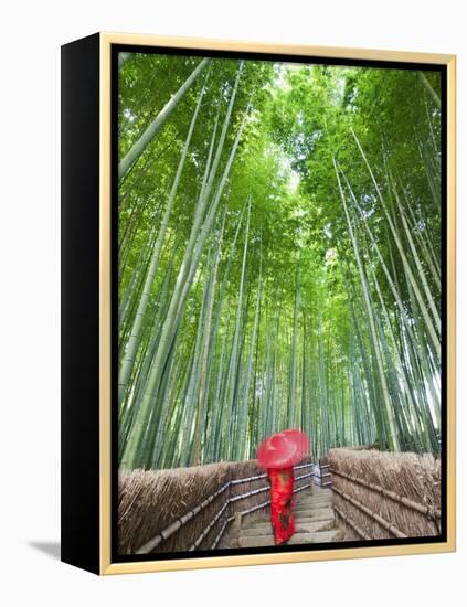 Japan, Kyoto, Arashiyama, Adashino Nembutsu-ji Temple, Bamboo Forest-Steve Vidler-Framed Premier Image Canvas