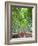 Japan, Kyoto, Arashiyama, Adashino Nembutsu-ji Temple, Bamboo Forest-Steve Vidler-Framed Photographic Print