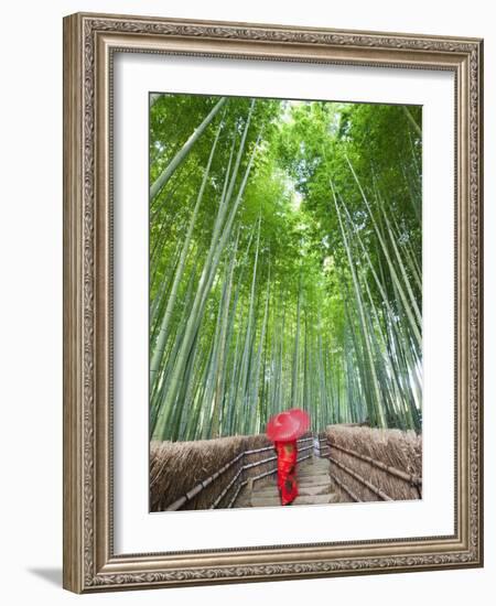 Japan, Kyoto, Arashiyama, Adashino Nembutsu-ji Temple, Bamboo Forest-Steve Vidler-Framed Photographic Print