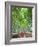 Japan, Kyoto, Arashiyama, Adashino Nembutsu-ji Temple, Bamboo Forest-Steve Vidler-Framed Photographic Print