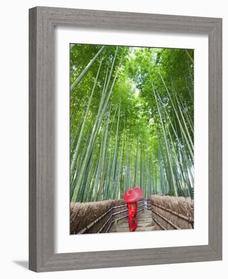 Japan, Kyoto, Arashiyama, Adashino Nembutsu-ji Temple, Bamboo Forest-Steve Vidler-Framed Photographic Print