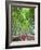 Japan, Kyoto, Arashiyama, Adashino Nembutsu-ji Temple, Bamboo Forest-Steve Vidler-Framed Photographic Print