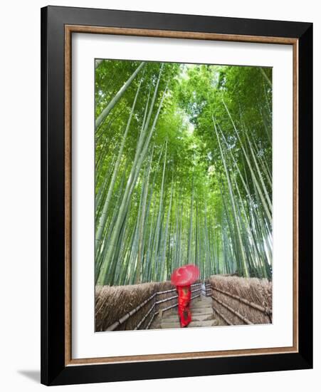 Japan, Kyoto, Arashiyama, Adashino Nembutsu-ji Temple, Bamboo Forest-Steve Vidler-Framed Photographic Print