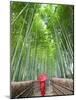 Japan, Kyoto, Arashiyama, Adashino Nembutsu-ji Temple, Bamboo Forest-Steve Vidler-Mounted Photographic Print
