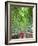 Japan, Kyoto, Arashiyama, Adashino Nembutsu-ji Temple, Bamboo Forest-Steve Vidler-Framed Photographic Print