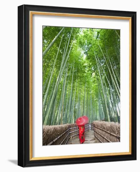 Japan, Kyoto, Arashiyama, Adashino Nembutsu-ji Temple, Bamboo Forest-Steve Vidler-Framed Photographic Print