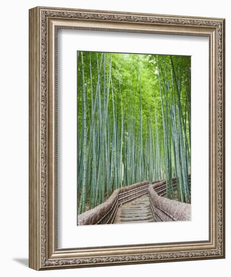 Japan, Kyoto, Arashiyama, Adashino Nembutsu-ji Temple, Bamboo Forest-Steve Vidler-Framed Photographic Print