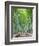 Japan, Kyoto, Arashiyama, Adashino Nembutsu-ji Temple, Bamboo Forest-Steve Vidler-Framed Photographic Print