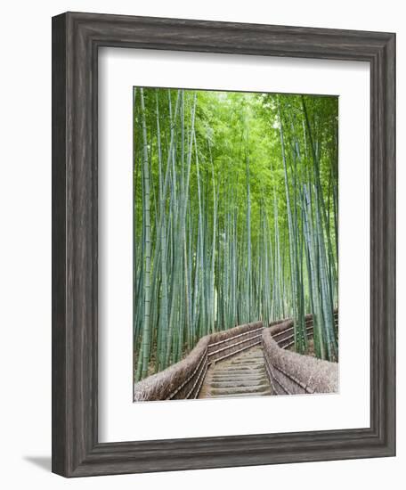 Japan, Kyoto, Arashiyama, Adashino Nembutsu-ji Temple, Bamboo Forest-Steve Vidler-Framed Photographic Print