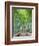 Japan, Kyoto, Arashiyama, Adashino Nembutsu-ji Temple, Bamboo Forest-Steve Vidler-Framed Photographic Print