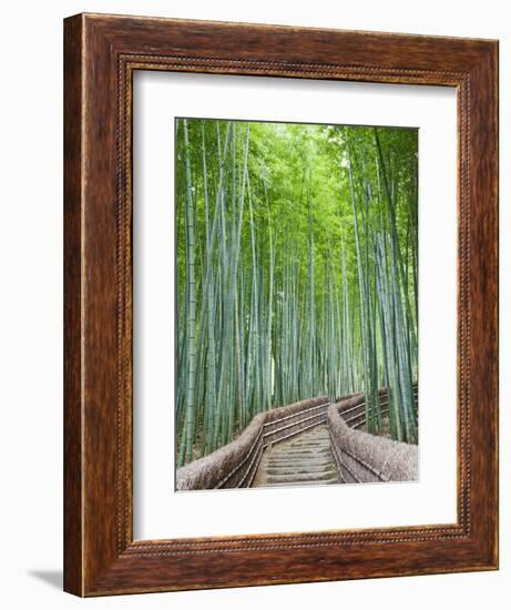 Japan, Kyoto, Arashiyama, Adashino Nembutsu-ji Temple, Bamboo Forest-Steve Vidler-Framed Photographic Print