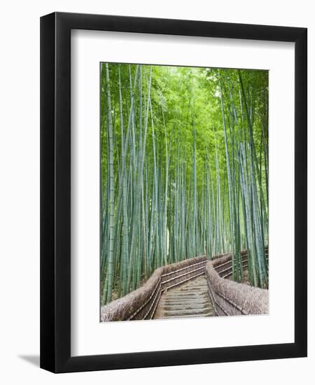 Japan, Kyoto, Arashiyama, Adashino Nembutsu-ji Temple, Bamboo Forest-Steve Vidler-Framed Photographic Print