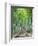 Japan, Kyoto, Arashiyama, Adashino Nembutsu-ji Temple, Bamboo Forest-Steve Vidler-Framed Photographic Print