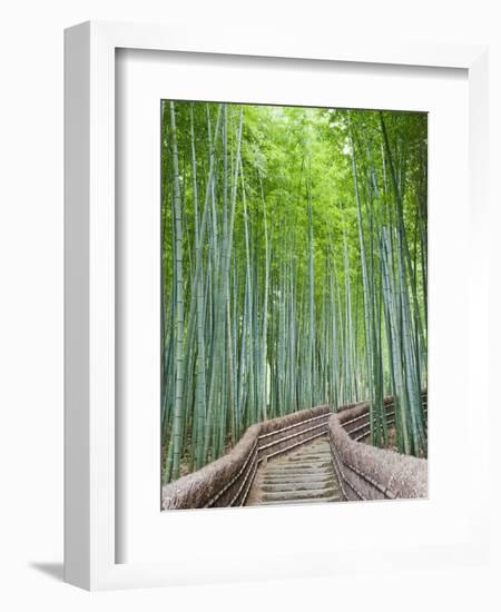 Japan, Kyoto, Arashiyama, Adashino Nembutsu-ji Temple, Bamboo Forest-Steve Vidler-Framed Photographic Print