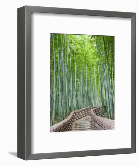 Japan, Kyoto, Arashiyama, Adashino Nembutsu-ji Temple, Bamboo Forest-Steve Vidler-Framed Photographic Print