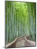 Japan, Kyoto, Arashiyama, Adashino Nembutsu-ji Temple, Bamboo Forest-Steve Vidler-Mounted Photographic Print