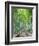 Japan, Kyoto, Arashiyama, Adashino Nembutsu-ji Temple, Bamboo Forest-Steve Vidler-Framed Photographic Print