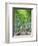 Japan, Kyoto, Arashiyama, Adashino Nembutsu-ji Temple, Bamboo Forest-Steve Vidler-Framed Photographic Print