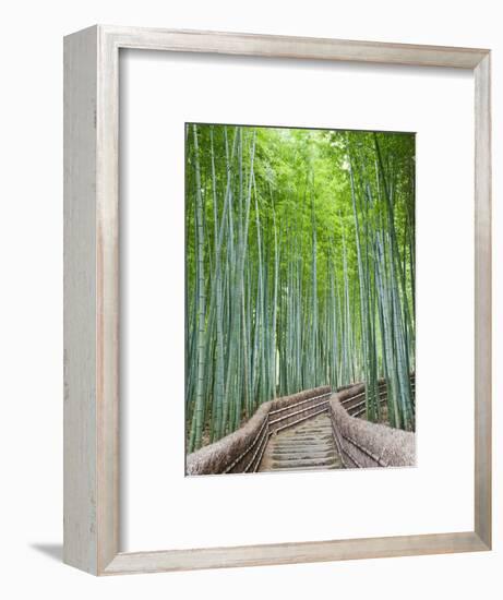 Japan, Kyoto, Arashiyama, Adashino Nembutsu-ji Temple, Bamboo Forest-Steve Vidler-Framed Photographic Print