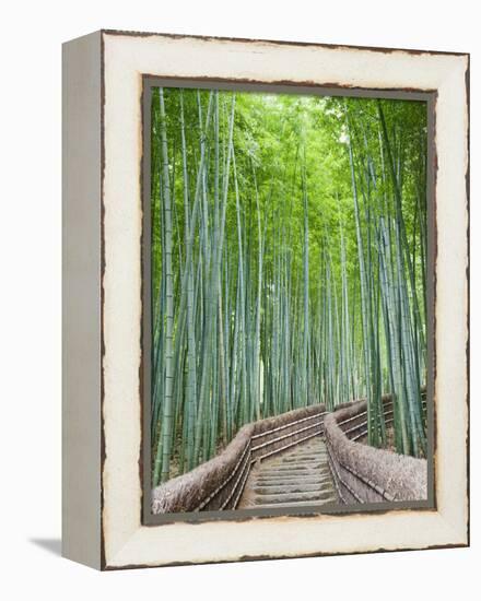 Japan, Kyoto, Arashiyama, Adashino Nembutsu-ji Temple, Bamboo Forest-Steve Vidler-Framed Premier Image Canvas