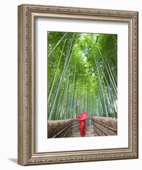 Japan, Kyoto, Arashiyama, Adashino Nembutsu-ji Temple, Bamboo Forest-Steve Vidler-Framed Photographic Print