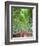 Japan, Kyoto, Arashiyama, Adashino Nembutsu-ji Temple, Bamboo Forest-Steve Vidler-Framed Photographic Print