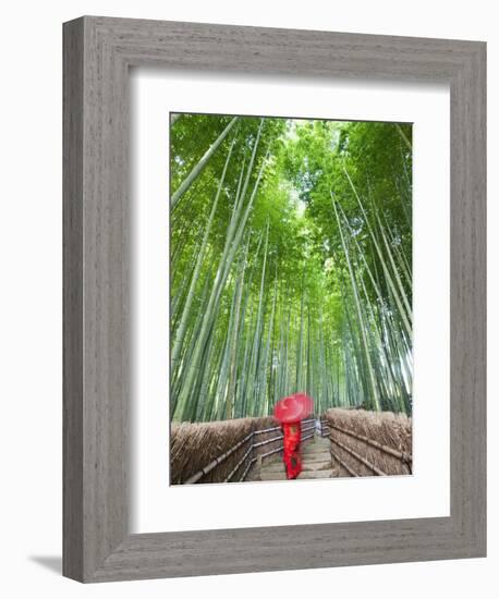 Japan, Kyoto, Arashiyama, Adashino Nembutsu-ji Temple, Bamboo Forest-Steve Vidler-Framed Photographic Print