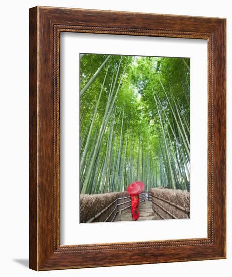 Japan, Kyoto, Arashiyama, Adashino Nembutsu-ji Temple, Bamboo Forest-Steve Vidler-Framed Photographic Print