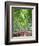 Japan, Kyoto, Arashiyama, Adashino Nembutsu-ji Temple, Bamboo Forest-Steve Vidler-Framed Photographic Print