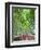 Japan, Kyoto, Arashiyama, Adashino Nembutsu-ji Temple, Bamboo Forest-Steve Vidler-Framed Photographic Print