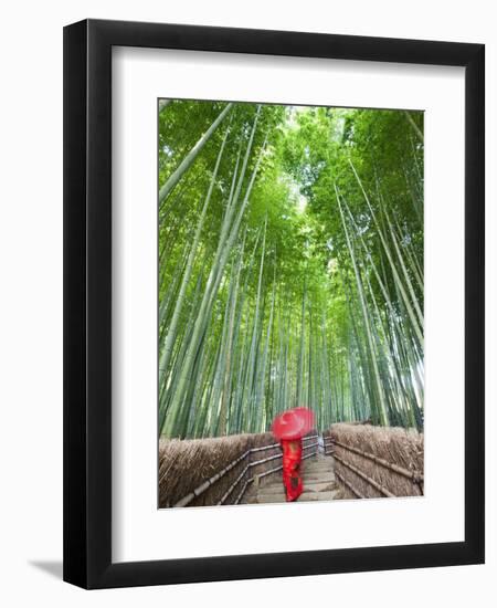 Japan, Kyoto, Arashiyama, Adashino Nembutsu-ji Temple, Bamboo Forest-Steve Vidler-Framed Photographic Print