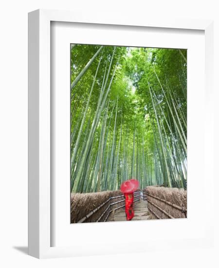 Japan, Kyoto, Arashiyama, Adashino Nembutsu-ji Temple, Bamboo Forest-Steve Vidler-Framed Photographic Print