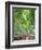 Japan, Kyoto, Arashiyama, Adashino Nembutsu-ji Temple, Bamboo Forest-Steve Vidler-Framed Photographic Print