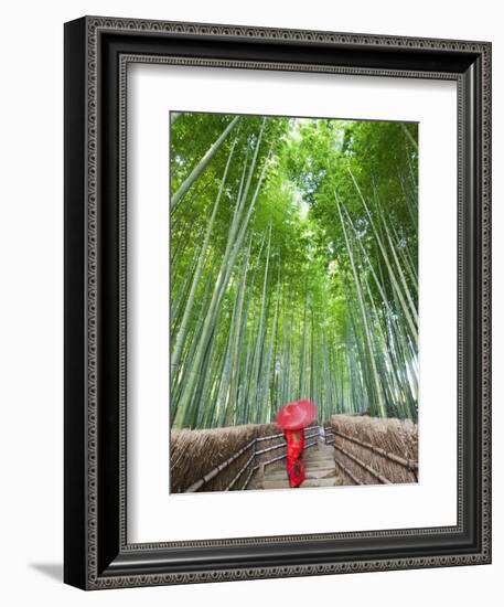 Japan, Kyoto, Arashiyama, Adashino Nembutsu-ji Temple, Bamboo Forest-Steve Vidler-Framed Photographic Print