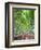 Japan, Kyoto, Arashiyama, Adashino Nembutsu-ji Temple, Bamboo Forest-Steve Vidler-Framed Photographic Print