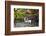 Japan, Kyoto, Arashiyama, Adashino Nenbutsu-Ji Temple-Jane Sweeney-Framed Photographic Print