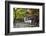 Japan, Kyoto, Arashiyama, Adashino Nenbutsu-Ji Temple-Jane Sweeney-Framed Photographic Print