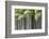 Japan, Kyoto, Arashiyama, Adashino Nenbutsu-Ji Temple-Jane Sweeney-Framed Photographic Print