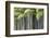 Japan, Kyoto, Arashiyama, Adashino Nenbutsu-Ji Temple-Jane Sweeney-Framed Photographic Print