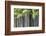 Japan, Kyoto, Arashiyama, Adashino Nenbutsu-Ji Temple-Jane Sweeney-Framed Photographic Print