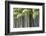 Japan, Kyoto, Arashiyama, Adashino Nenbutsu-Ji Temple-Jane Sweeney-Framed Photographic Print