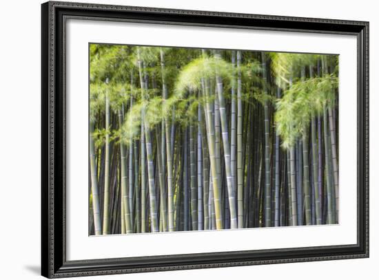 Japan, Kyoto, Arashiyama, Adashino Nenbutsu-Ji Temple-Jane Sweeney-Framed Photographic Print